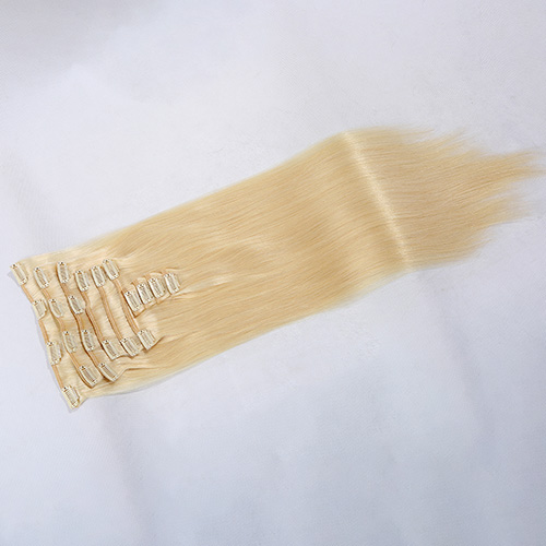 Clip in hair extension (20)