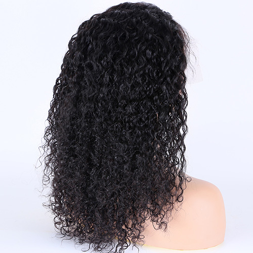 water wave full lace wig (1)